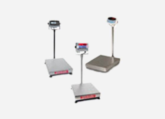 Industrial Floor Standing Scales