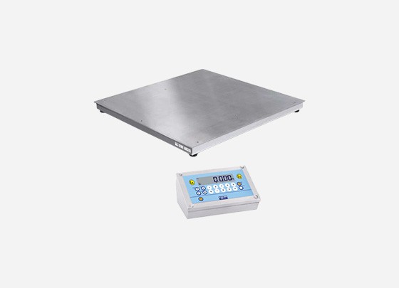 Dini Argeo ETI ATEX Zone 1/21 Platform Scale + DFWATEX2GD Indicator